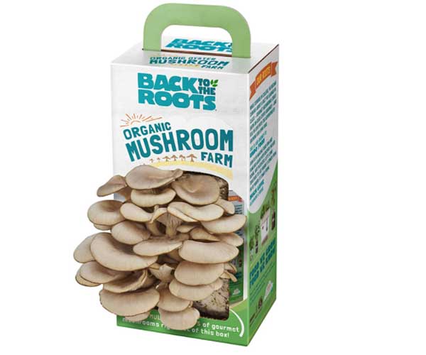 back to the Roots Organic Mushroom Growing Kit