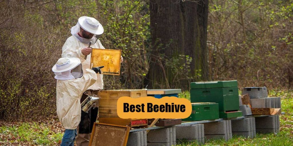 Best Bee Hive Kits Review & Buying Guide