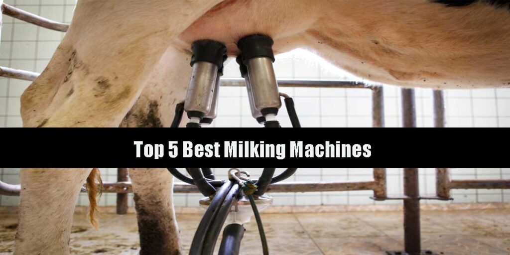 Best Milking Machines