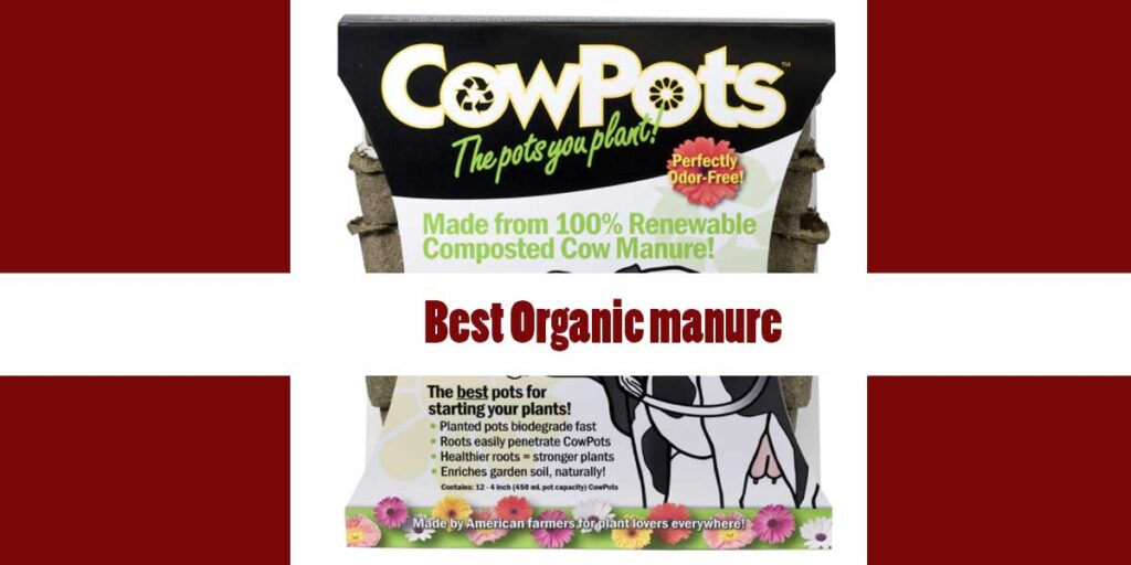 Best Organic manure